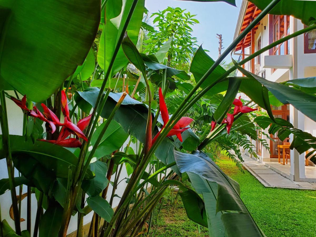 Villa Ema Galle Zewnętrze zdjęcie